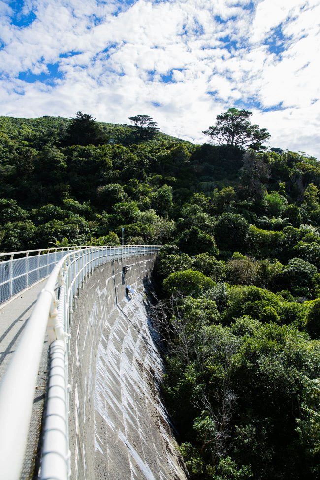 zealandia suspension bridge