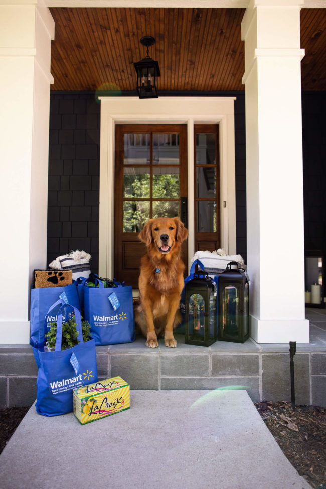 mia mia mine golden retriever front door