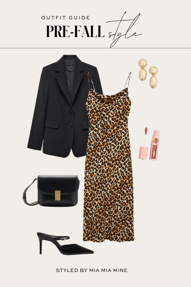 leopard dress outfit for fall